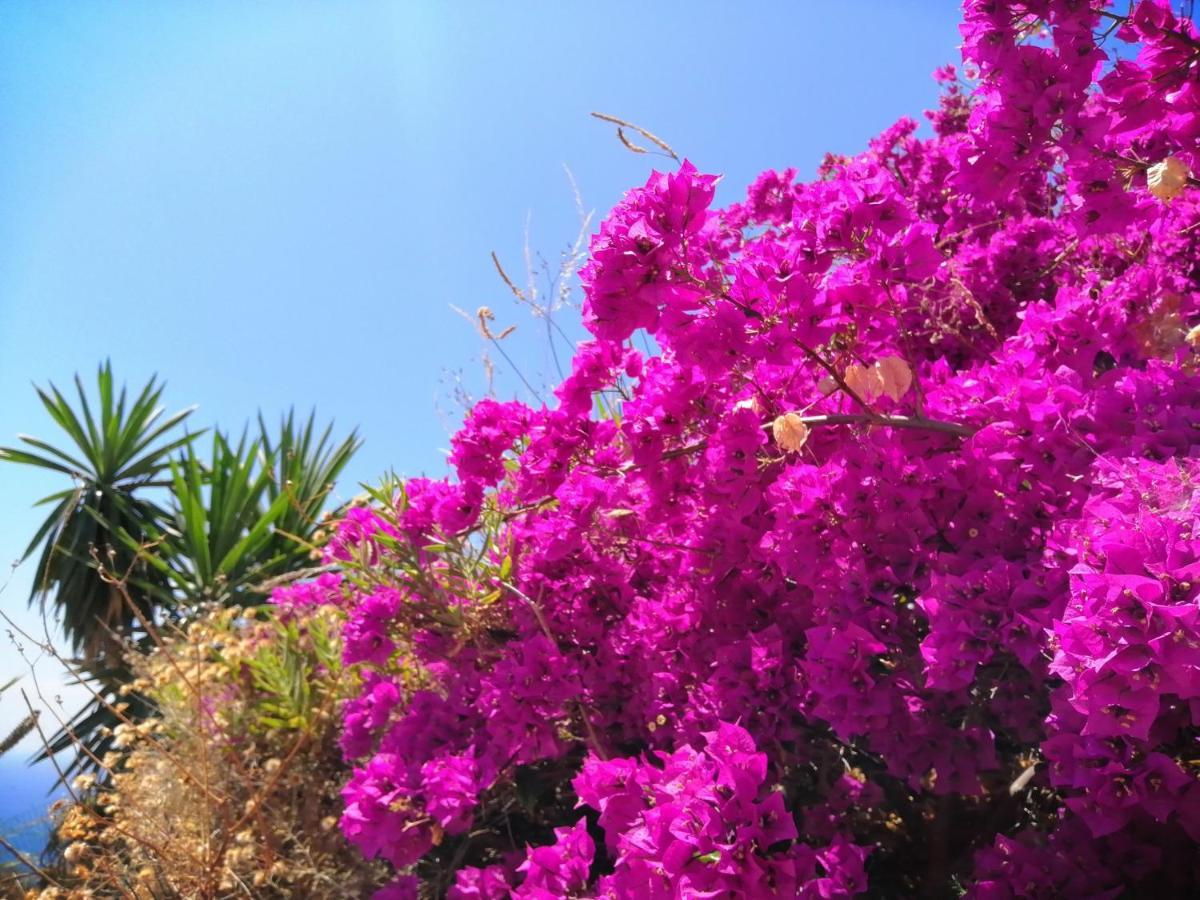 Finca Mariposa Mariposaholidays Nerja Exterior foto